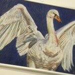 Лабудови личности Лабудови личности